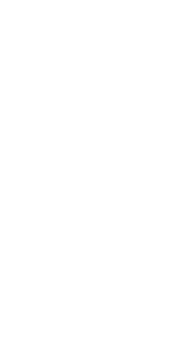 slider left arrows