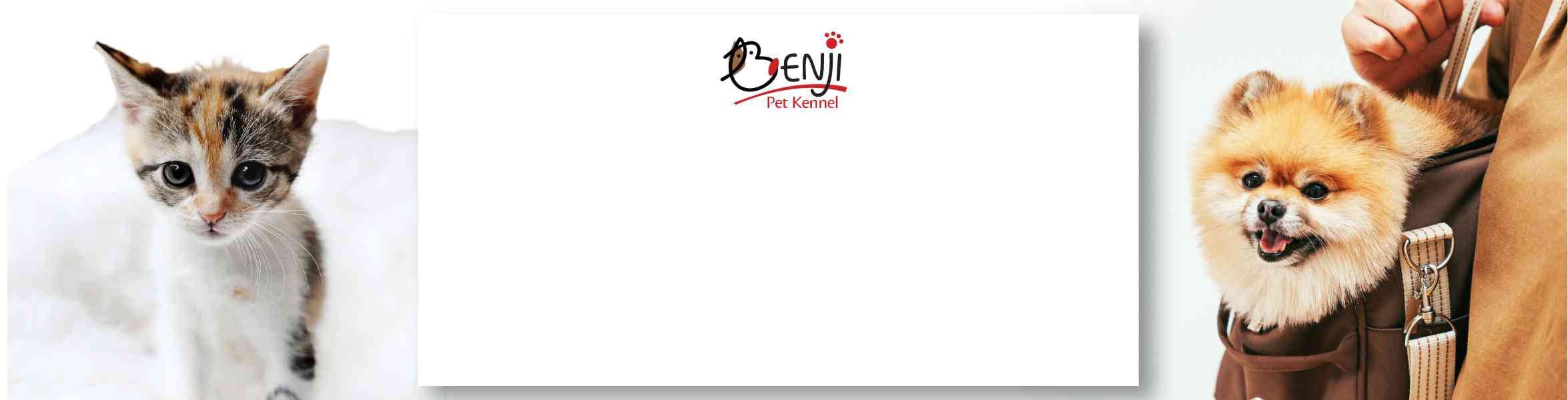 Online Pet Store Singapore