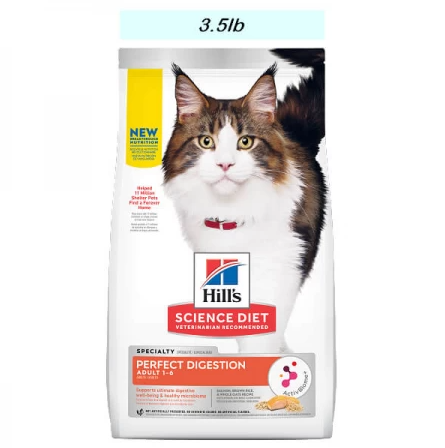 Best Pet Groomer