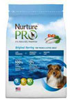 Best Pet Groomer
