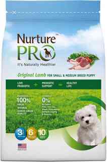 Best Pet Groomer