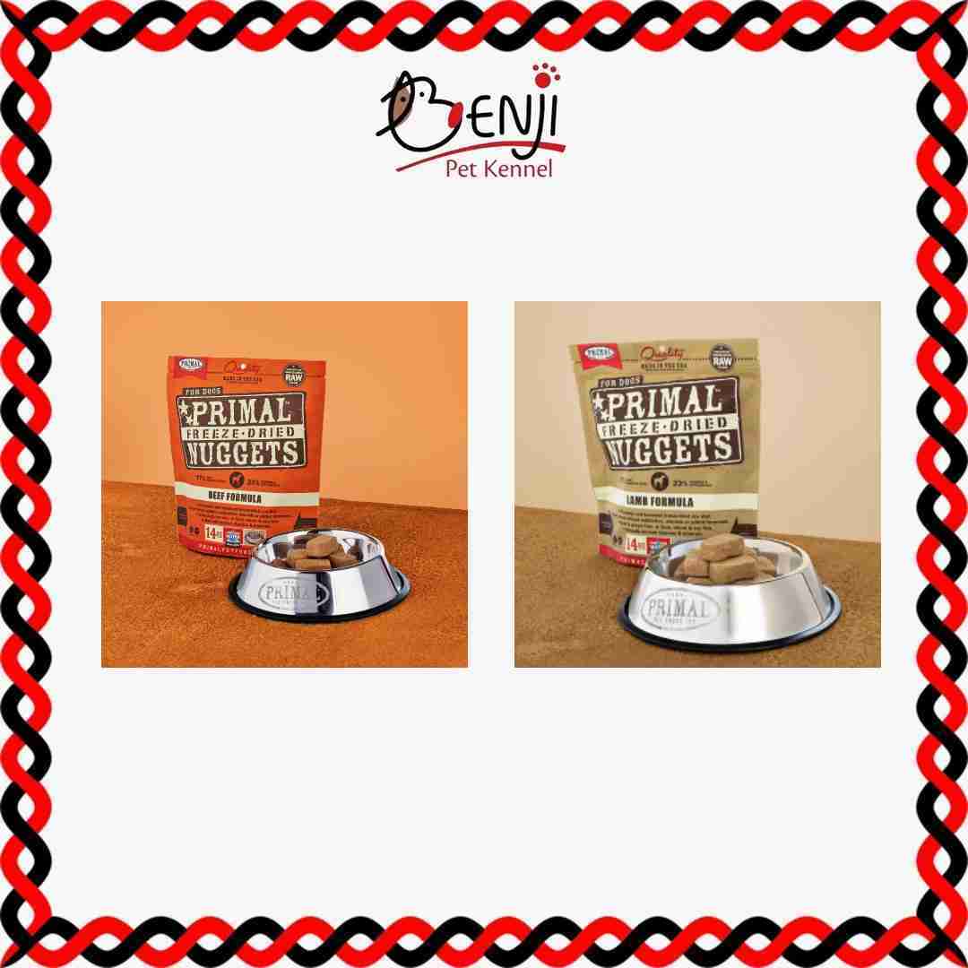 Best Pet Groomer