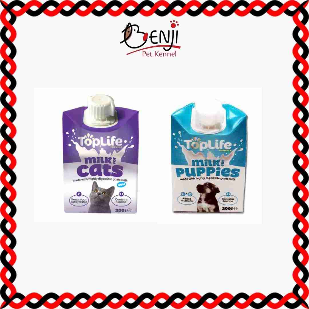 Best Pet Groomer