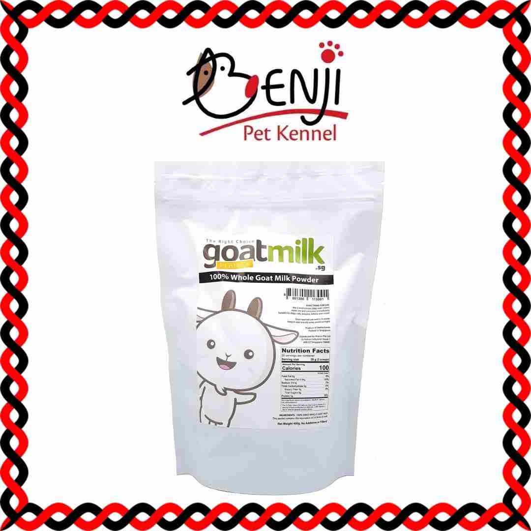 Best Pet Groomer