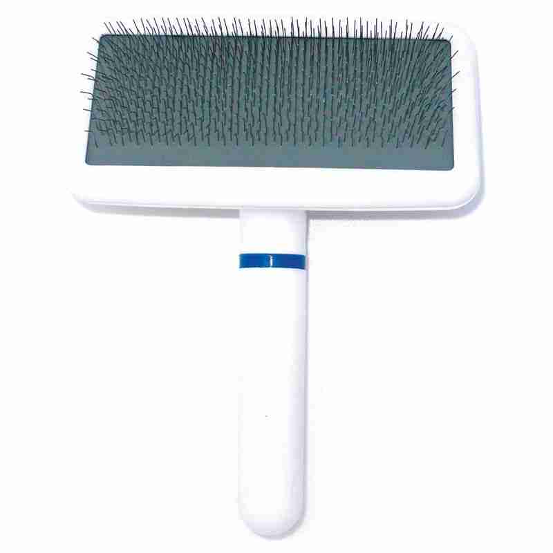 Best Pet Groomer