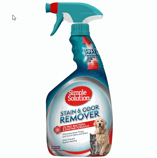 Best Pet Groomer