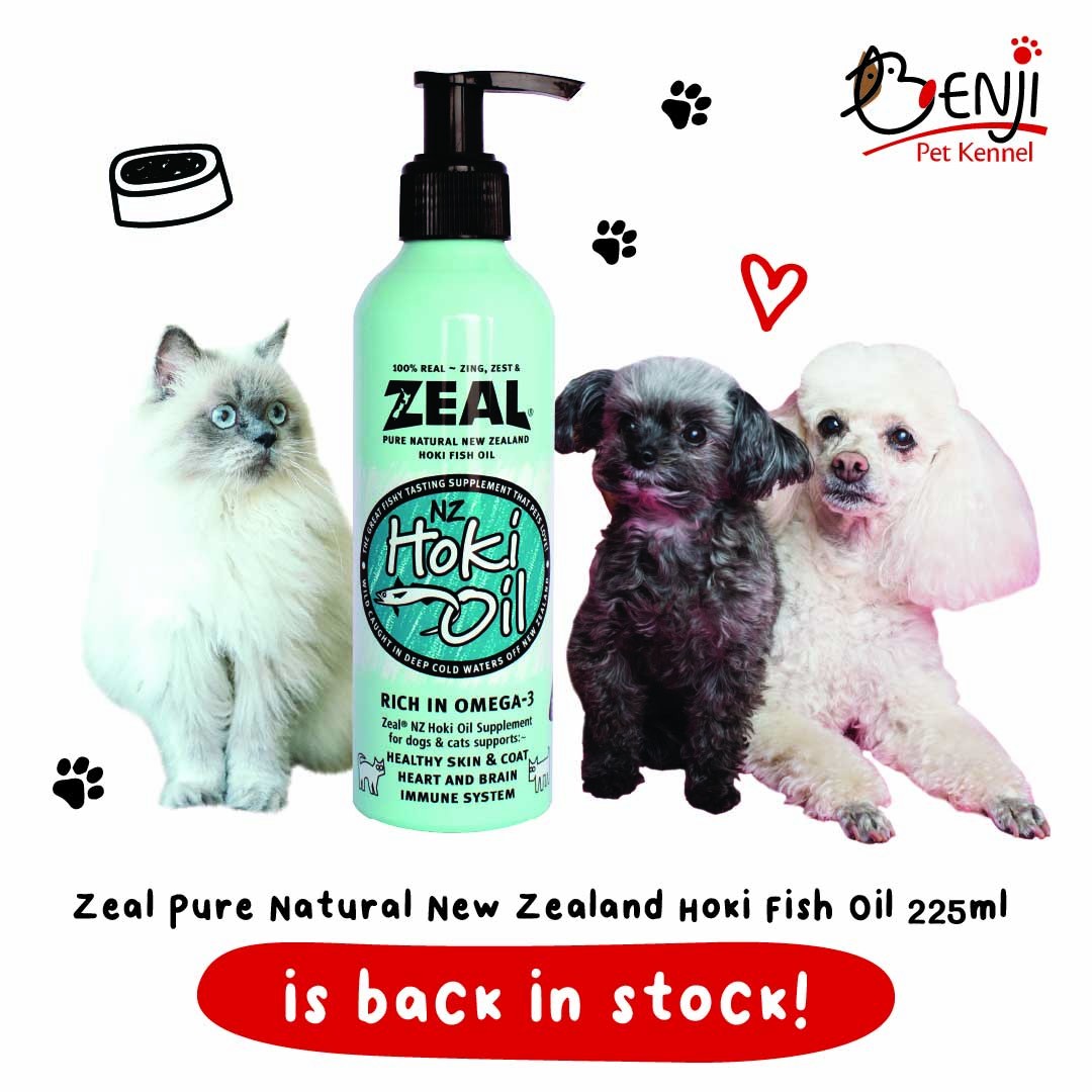 Online Pet Food Singapore