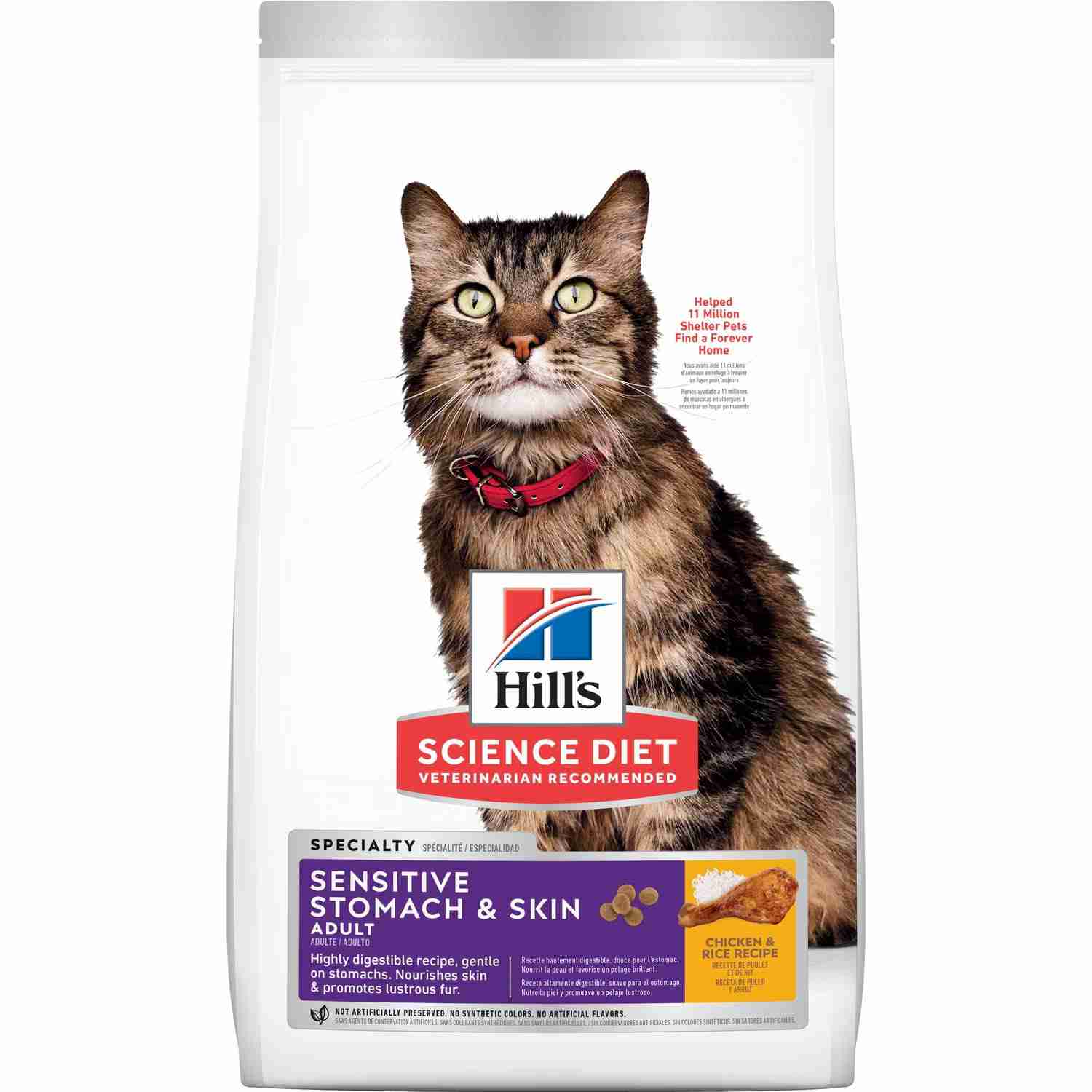 Best Pet Groomer