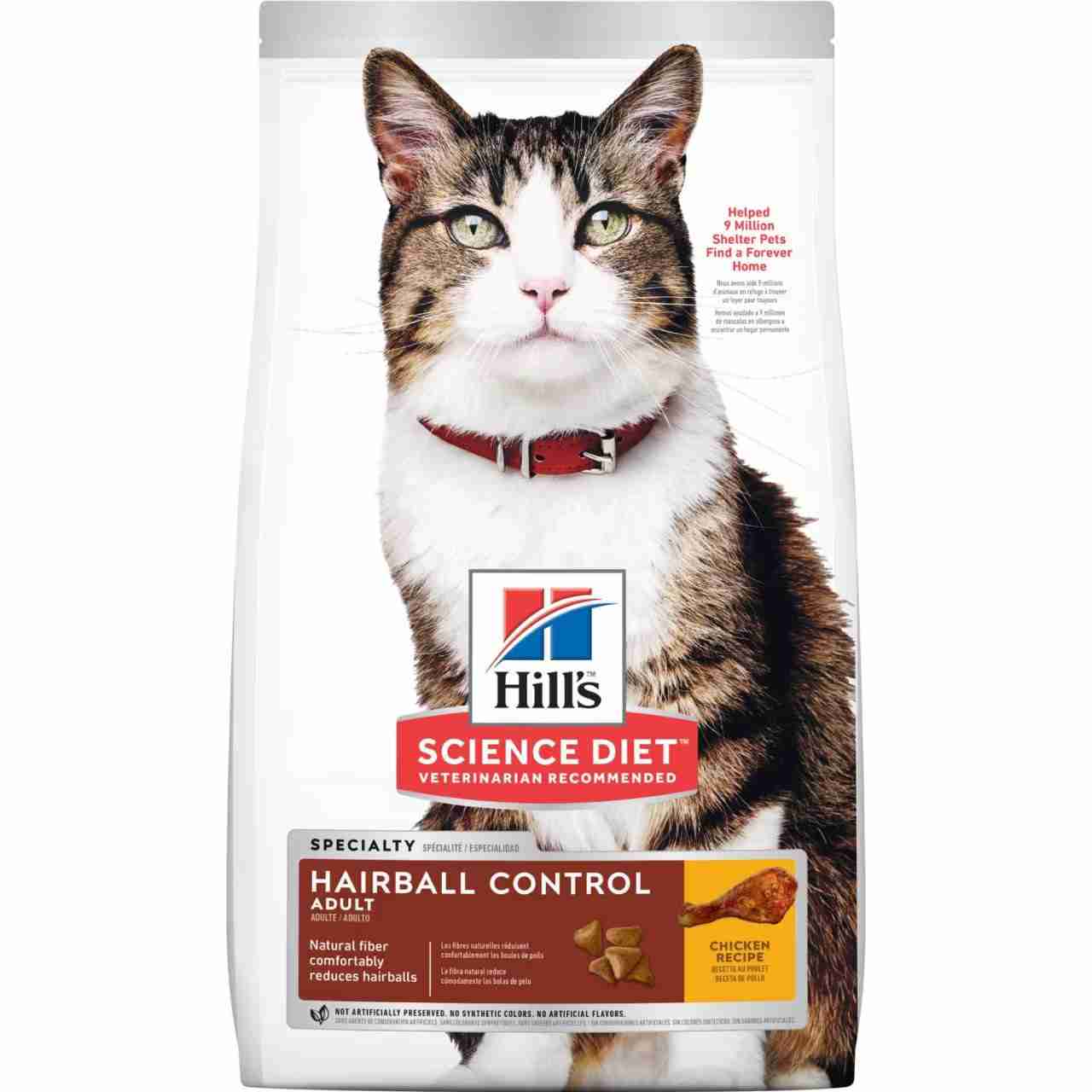 Best Pet Groomer