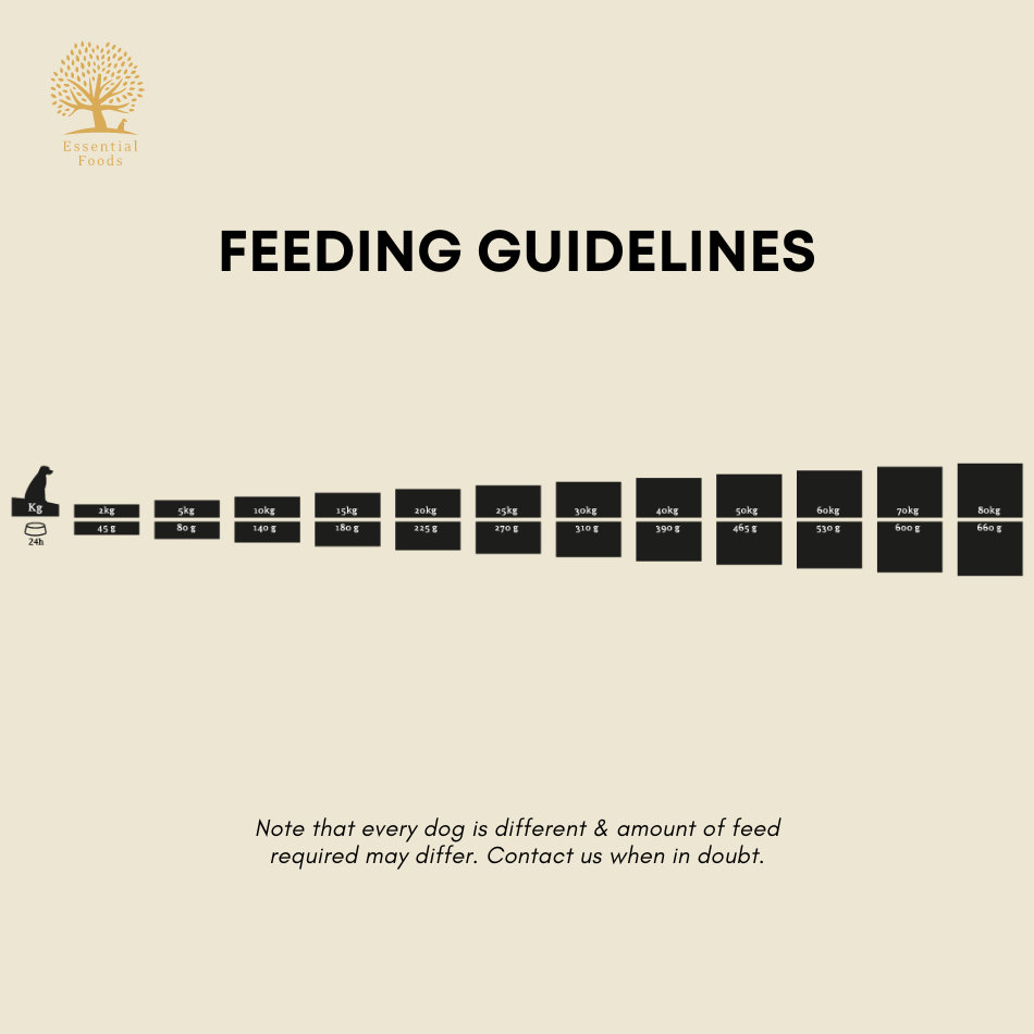 Best Pet Groomer in the East