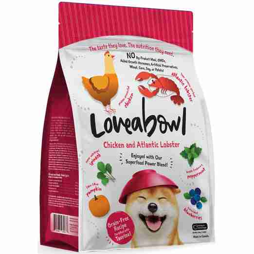 Best Pet Groomer