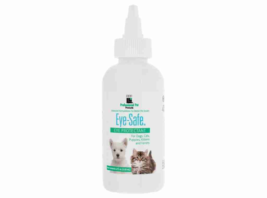 Best Pet Groomer