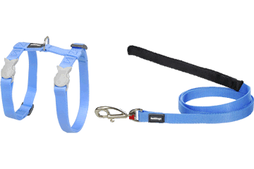 Best Pet Groomer in the East