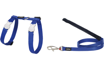 Best Pet Groomer in the East