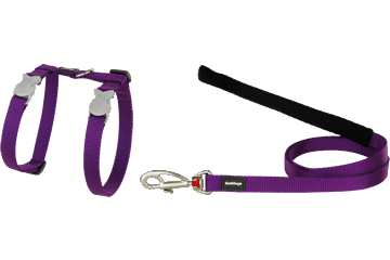 Best Pet Groomer in the East