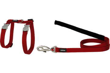 Best Pet Groomer in the East