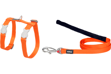 Best Pet Groomer in the East