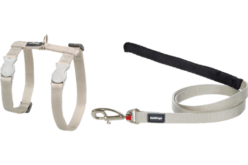 Best Pet Groomer in the East