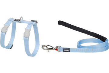 Best Pet Groomer in the East