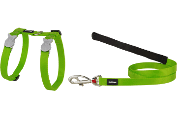 Best Pet Groomer in the East