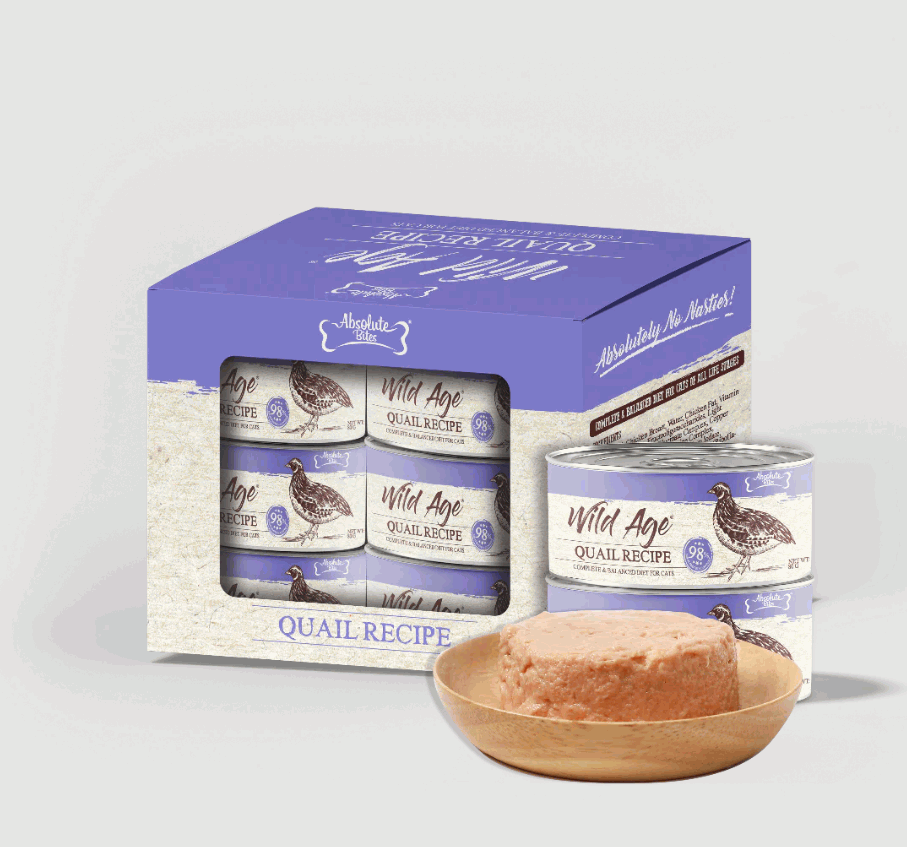 Best Pet Groomer