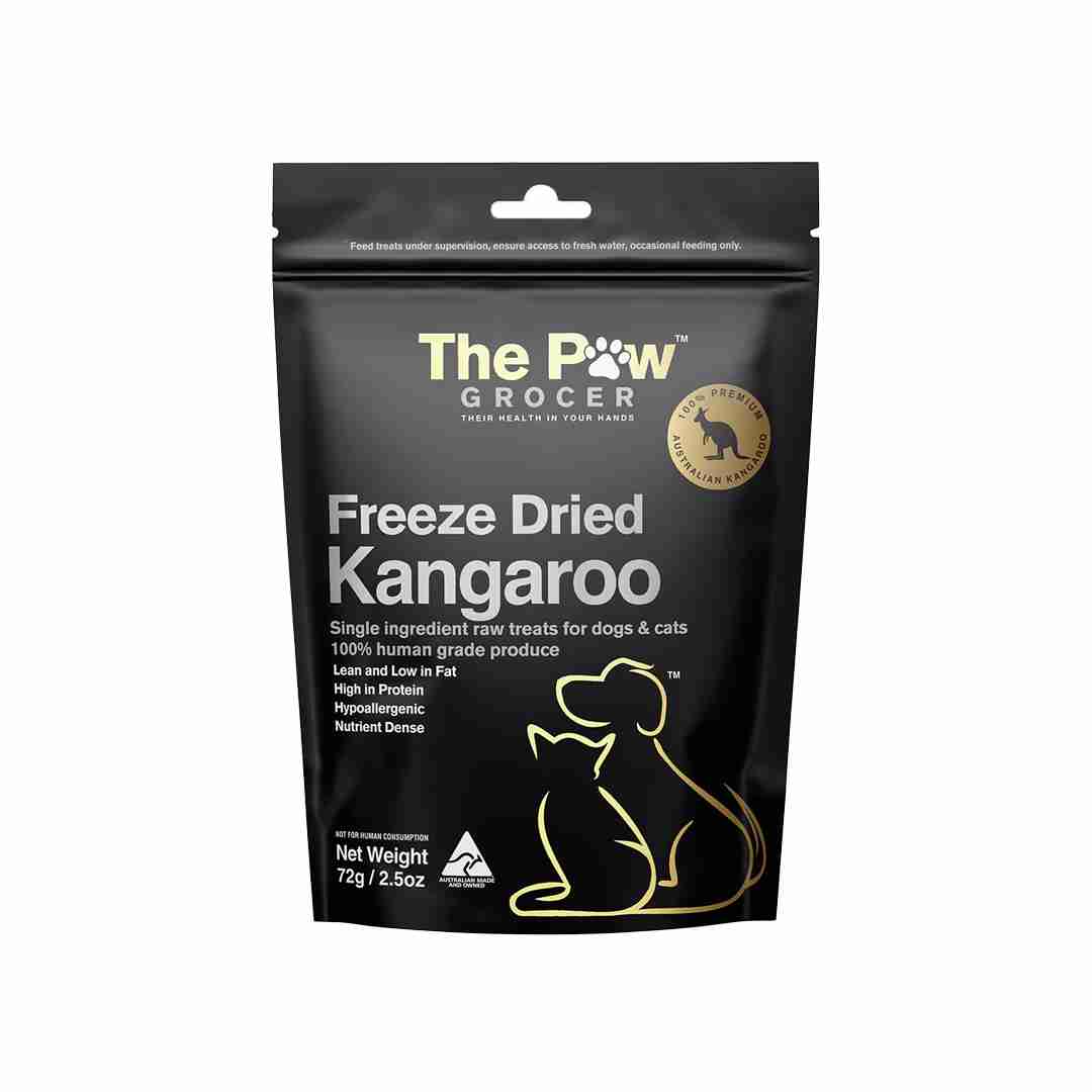 Best Pet Groomer