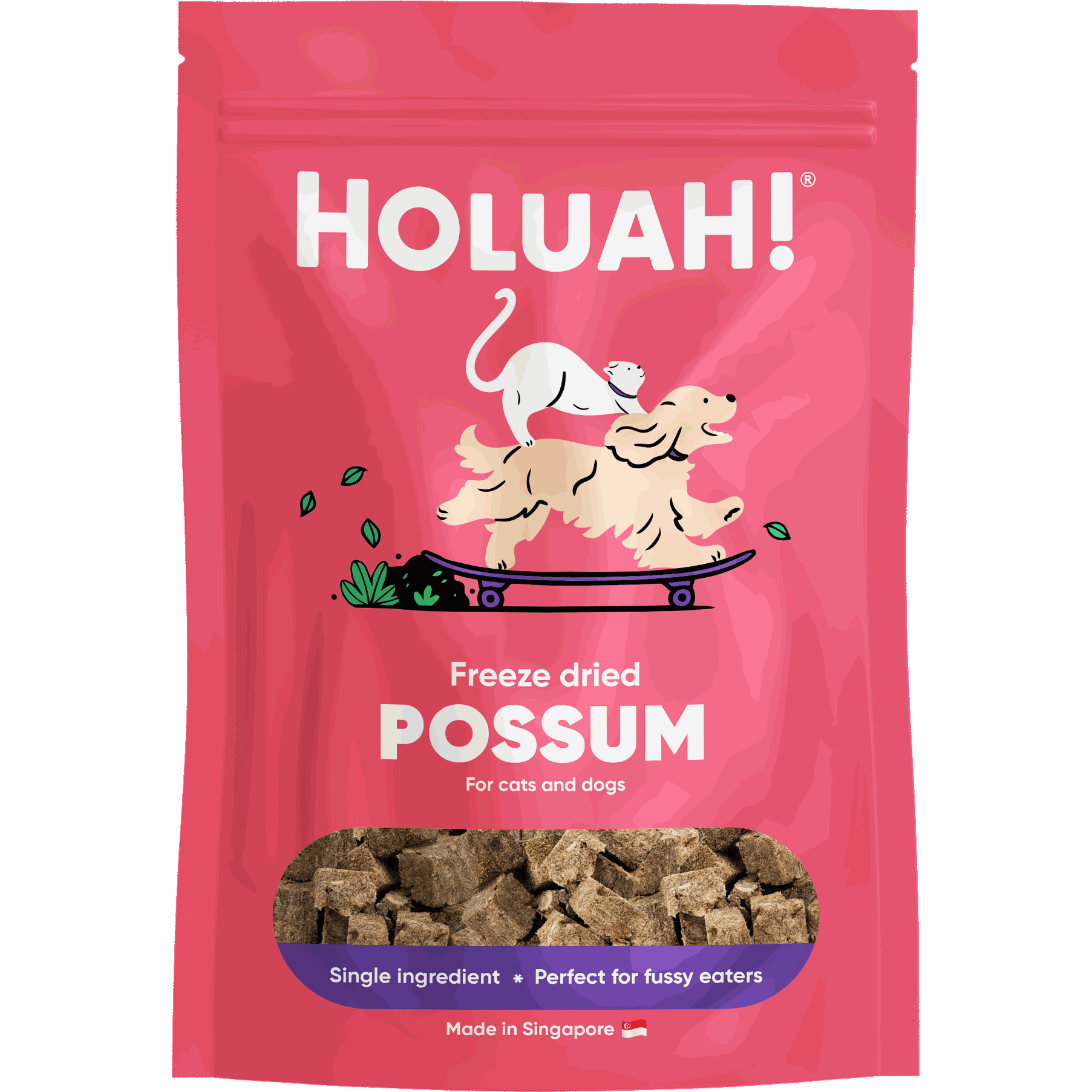 Best Pet Groomer