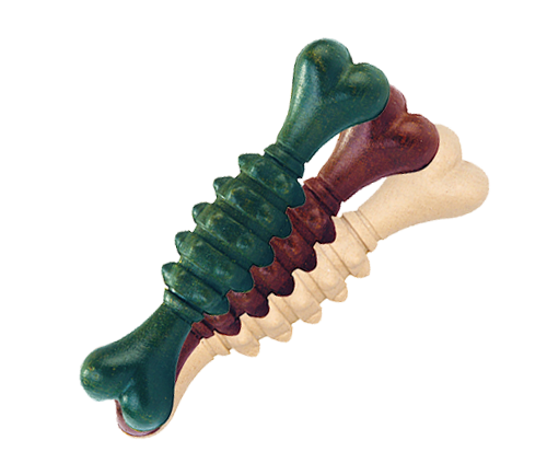 Best Pet Groomer in the East