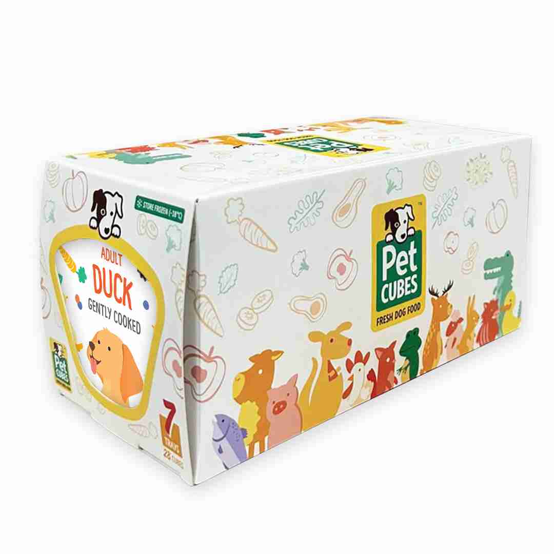 Best Pet Groomer