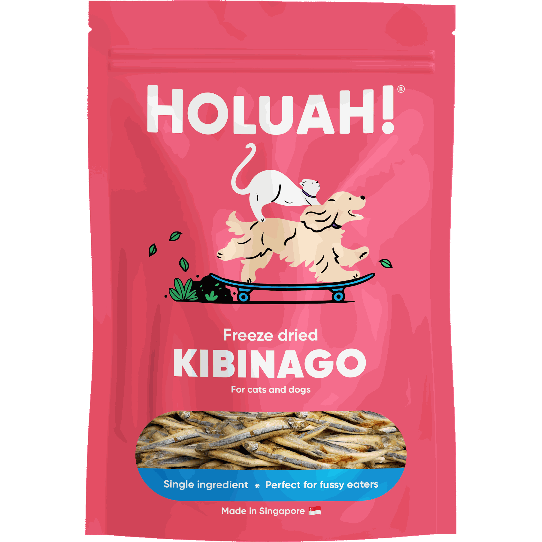 Best Pet Groomer