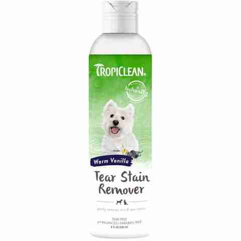 Best Online Pet Store Singapore