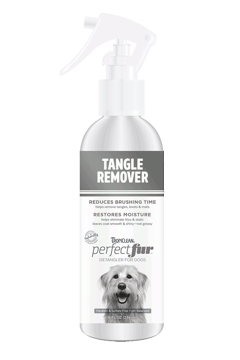 Best Online Pet Store Singapore