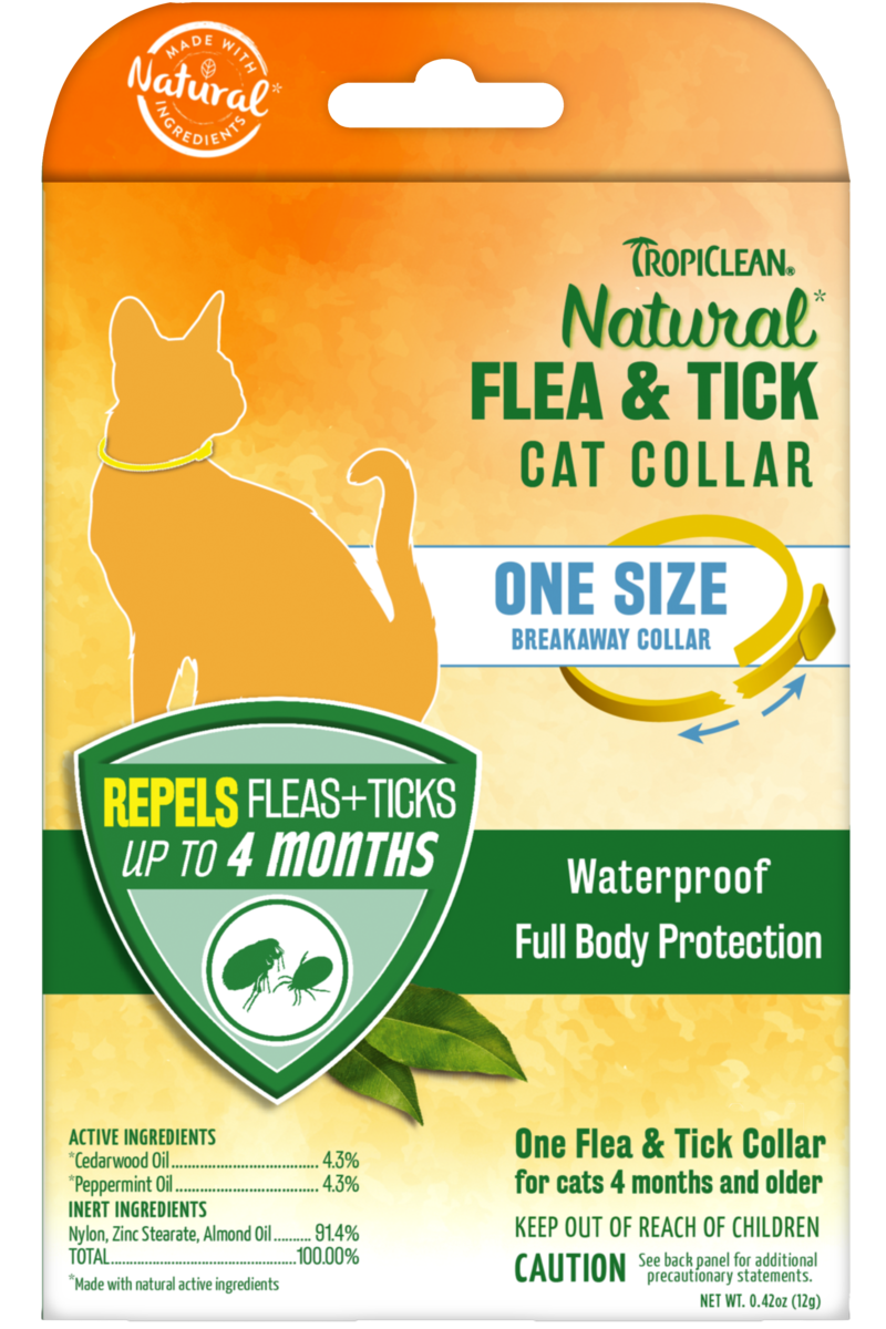 Best Online Pet Store Singapore