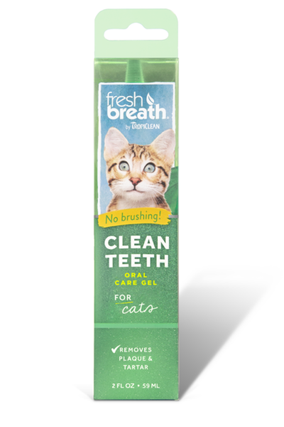 Best Online Pet Store Singapore