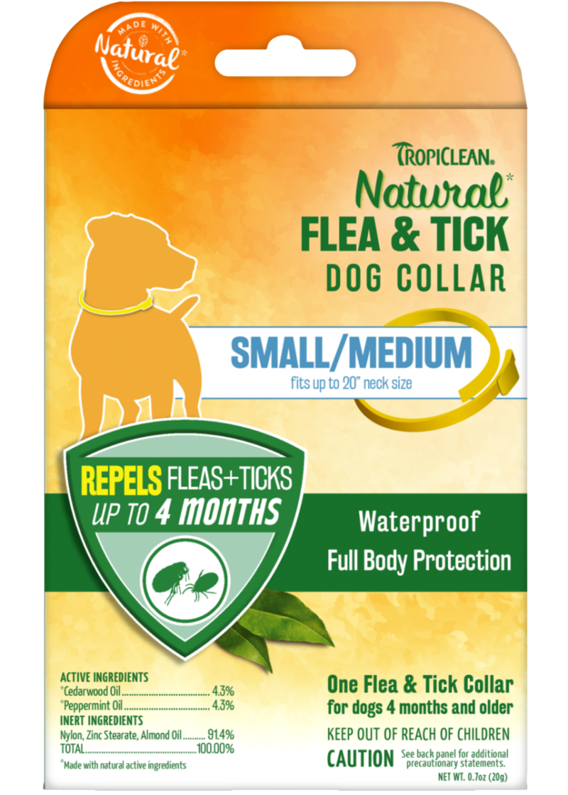 Best Online Pet Store Singapore
