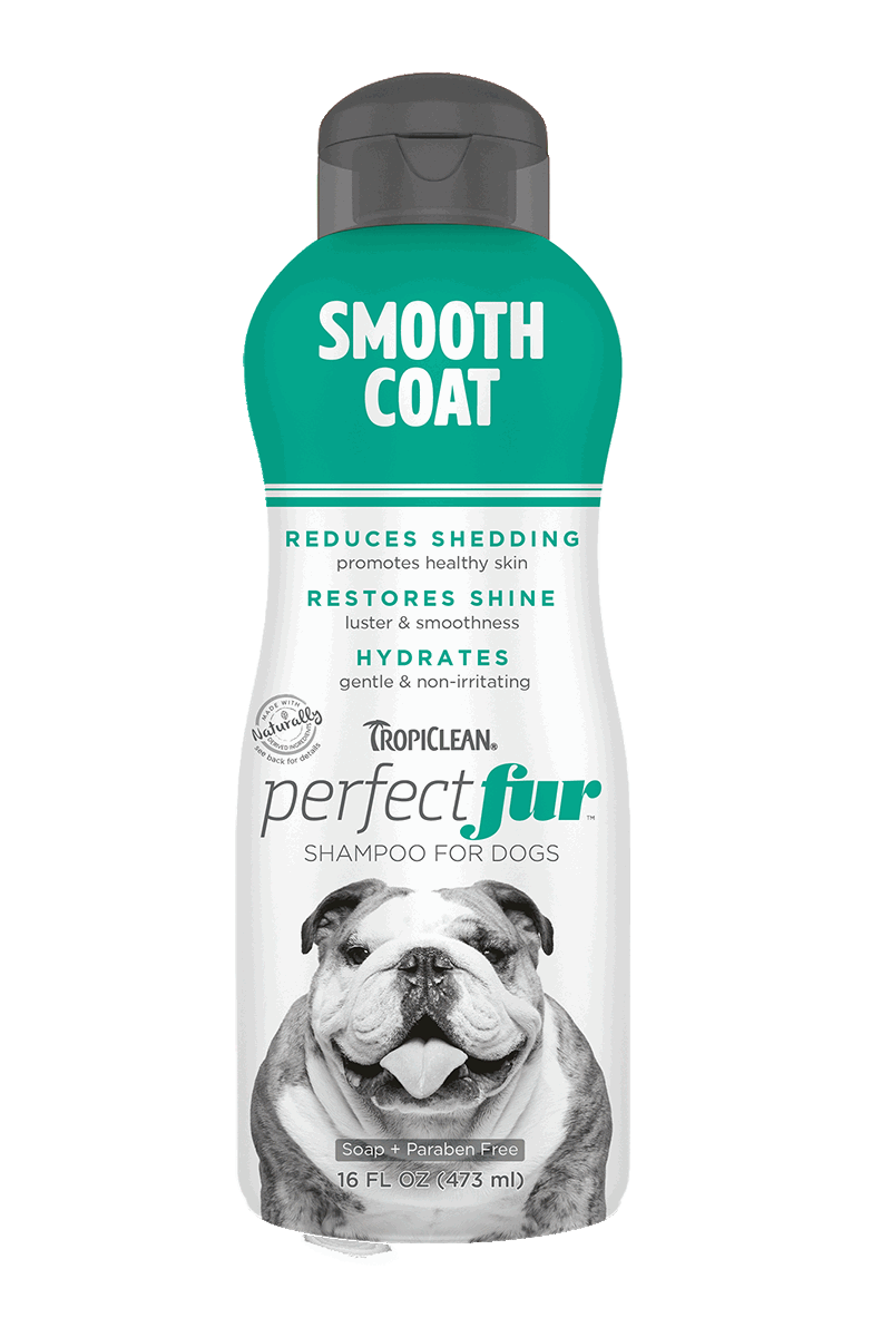 Best Online Pet Store Singapore