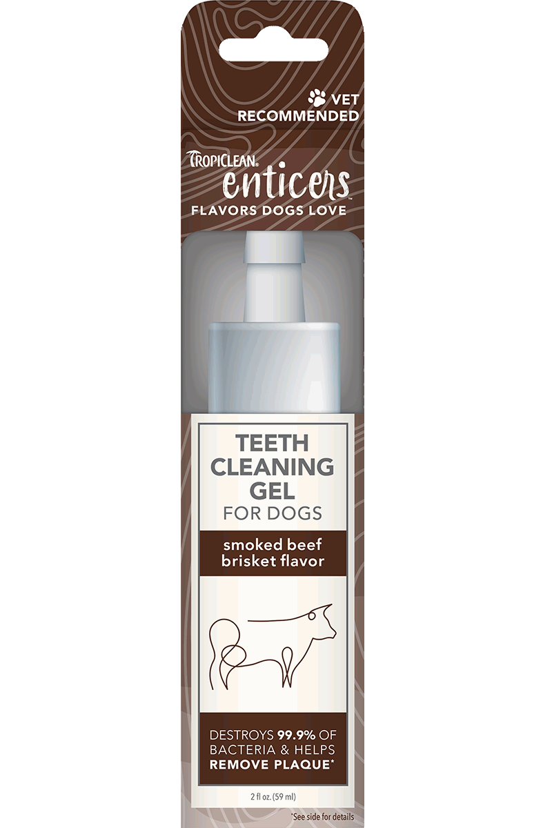 Best Online Pet Store Singapore