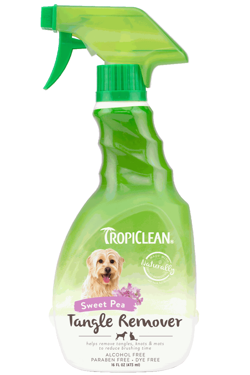 Best Online Pet Store Singapore