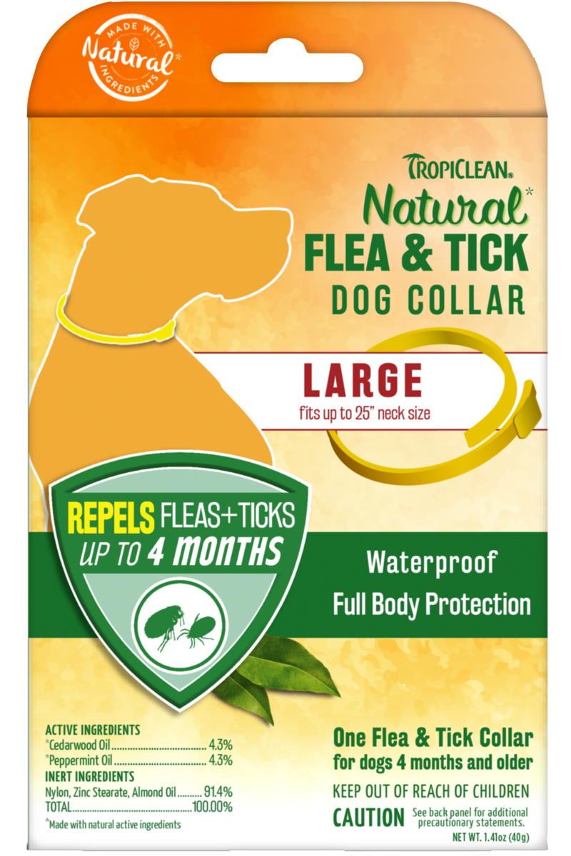 Best Online Pet Store Singapore
