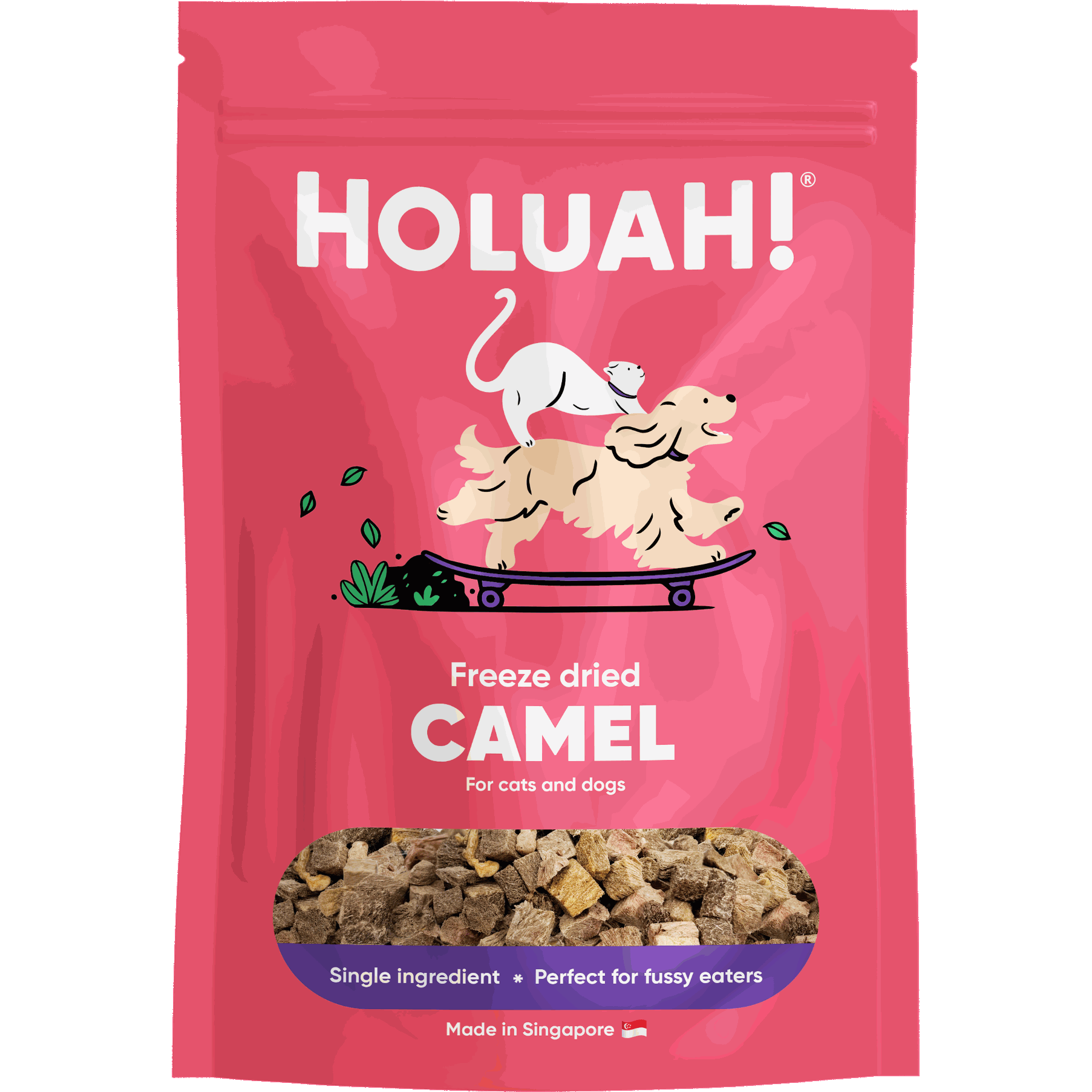 Best Pet Groomer