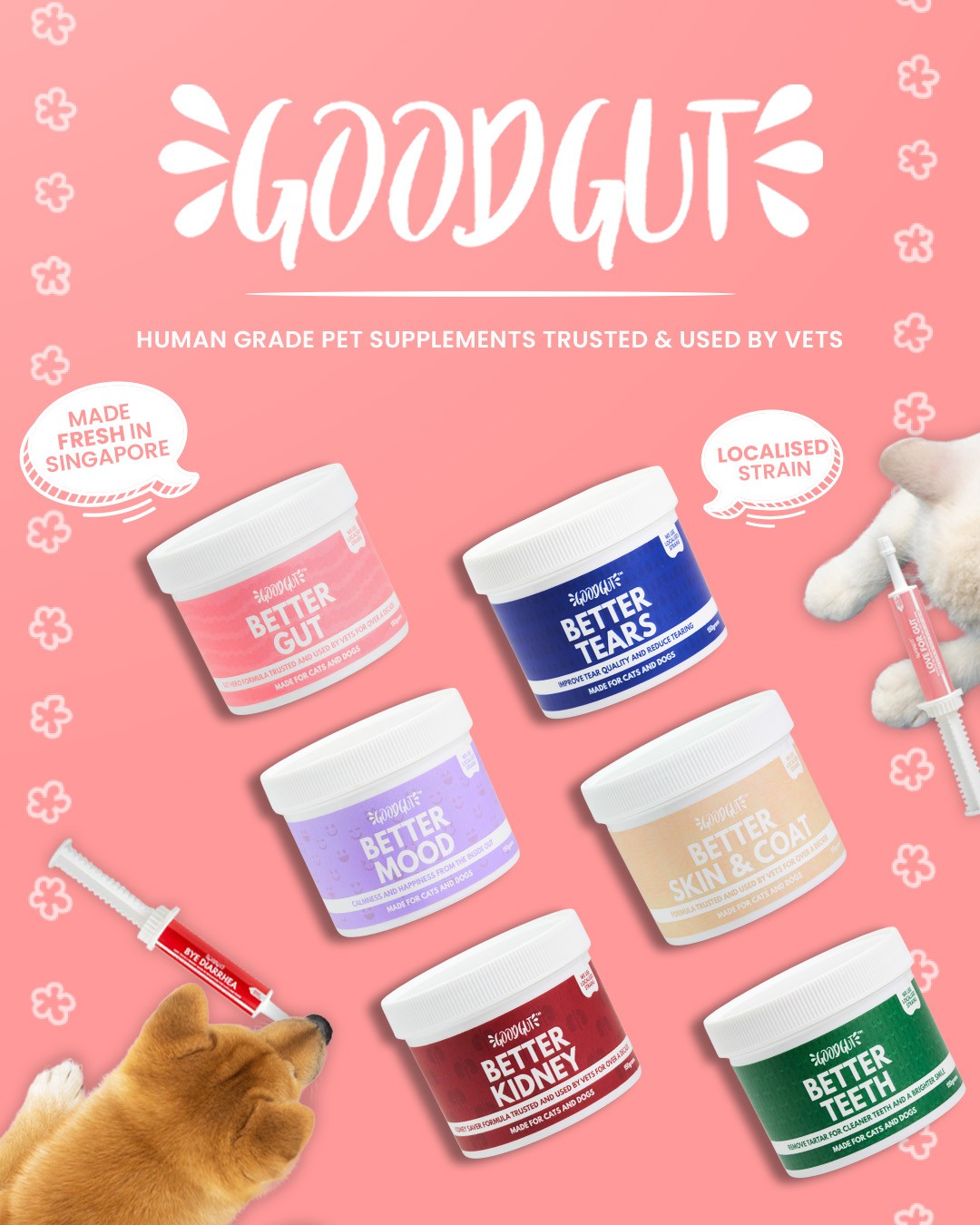 Online Pet Food Singapore