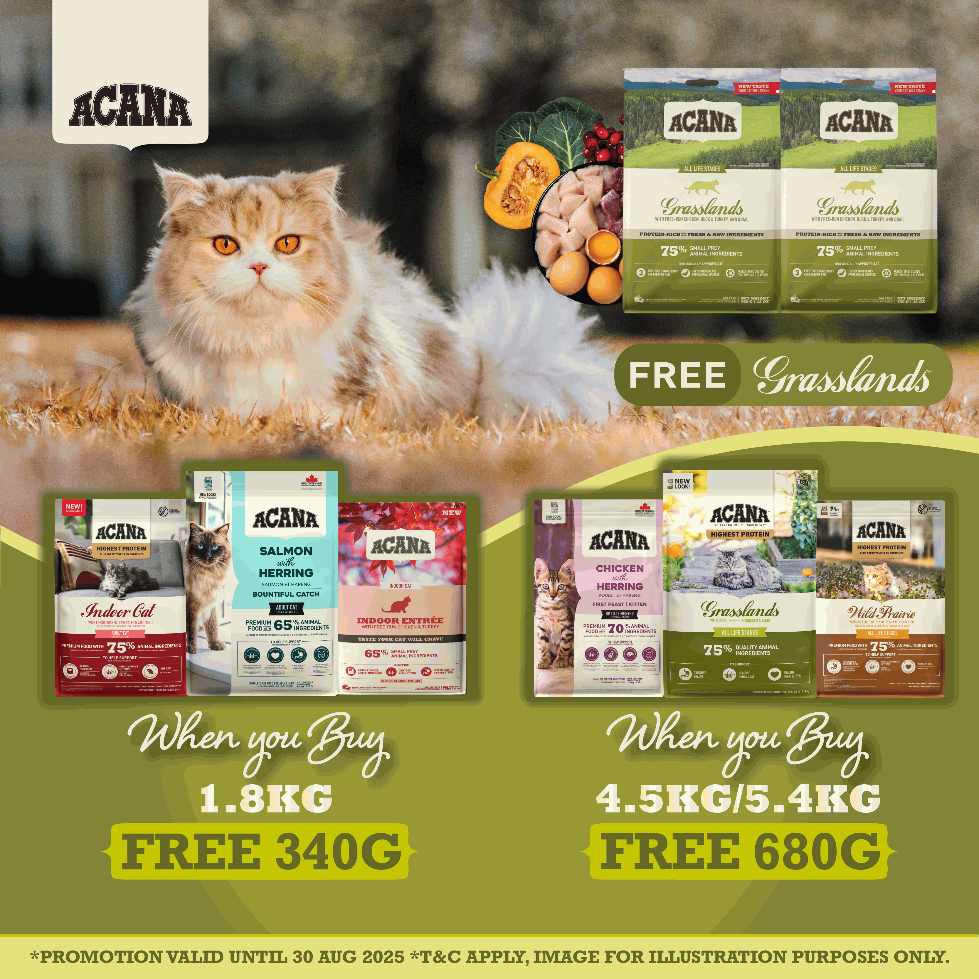 Online Pet Food Singapore